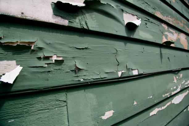 Best Residential Junk Removal  in Orida City, FL
