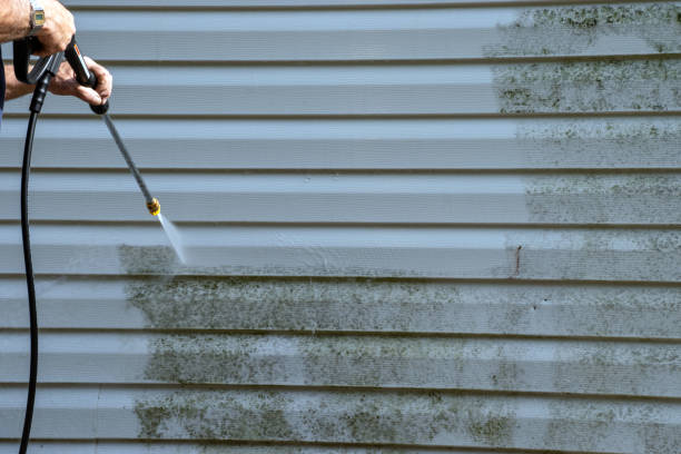 Best Same-Day Junk Removal Services  in Orida City, FL