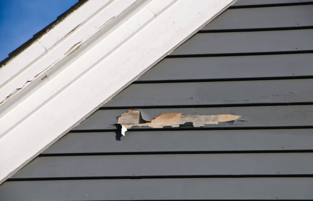Same-Day Junk Removal Services in Florida City, FL